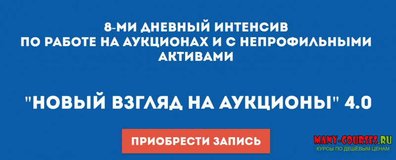 Вадим Куклин - Интенсив «Новый взгляд на аукционы 4.0» (2021)