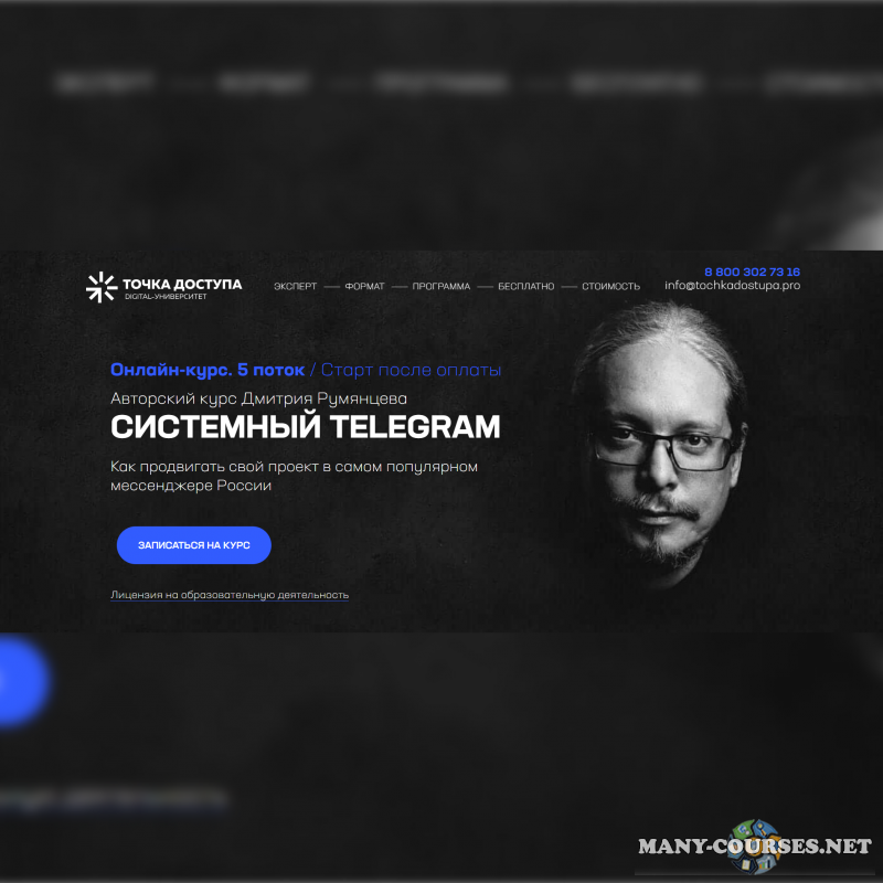 Точка Доступа / Дмитрий Румянцев - Системный Telegram. 5 поток. Тариф База (2024)