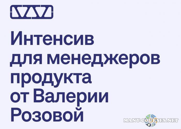 Валерия Розовая - Интенсив для менеджеров продукта. Тариф Базовый