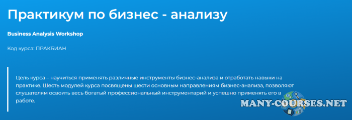 Специалист / Светлана Казакова - Практикум по бизнес - анализу (2024)